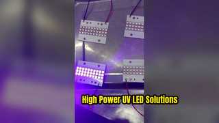 Module UV de LED